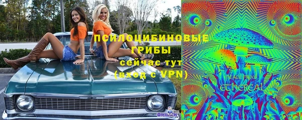 прущий лед Абаза